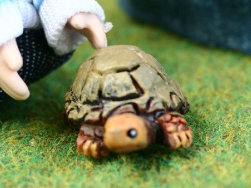 Adult Tortoise, Dolls House Miniature, Animals & Pets 1.12 Scale