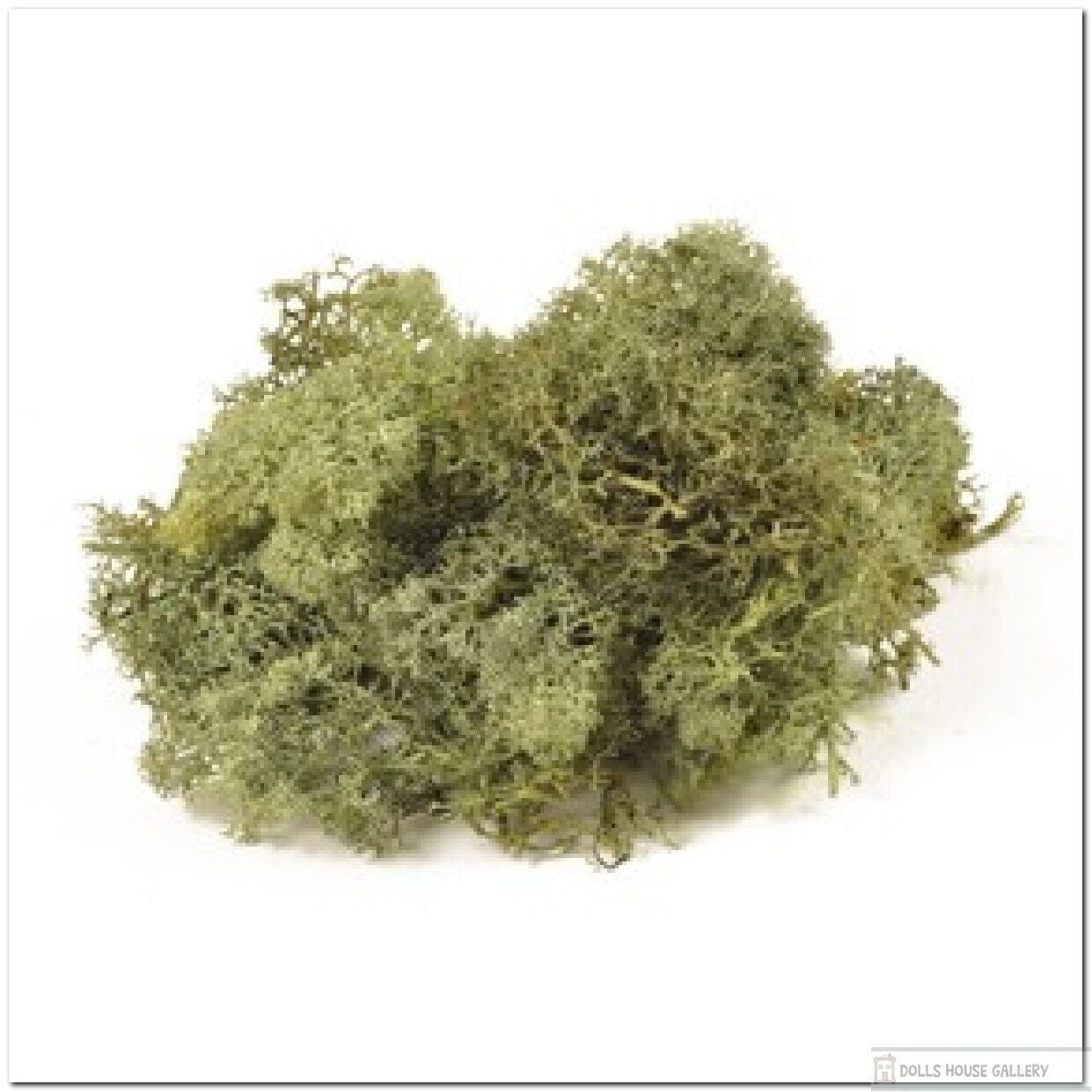 Bag of Lichen Moss Dark Green 40g, Doll House Miniature, Railways,