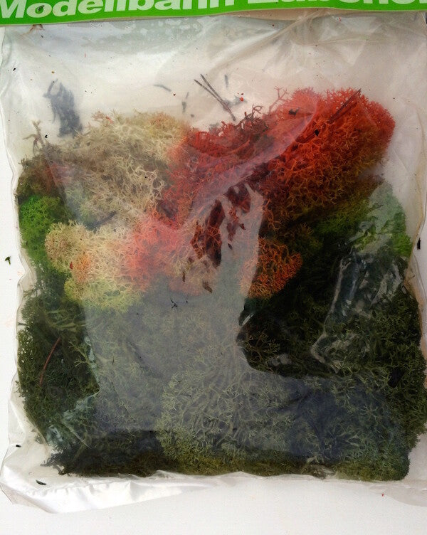 Large Bag of Lichen Moss Assorted colours 80g, Doll House Miniature, Railways,