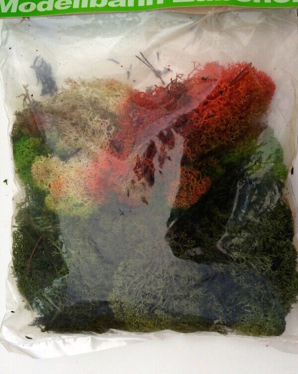 Large Bag of Lichen Moss Assorted colours 80g, Doll House Miniature, Railways,