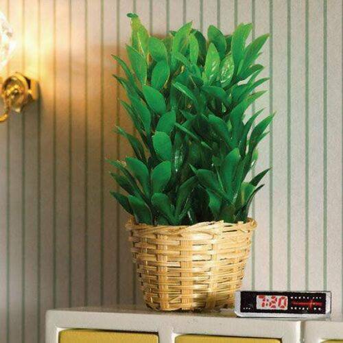 Bushy Plant In Basket, Dolls House Miniature. Plants Indoor or Outdoor