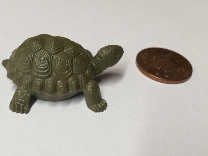 Large Tortoise, Dolls House Miniatures, Pets & Animals