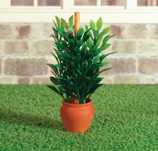 Bushy Plant In Terracotta Pot, Dolls House Miniature. Plants Indoor or Outdoor