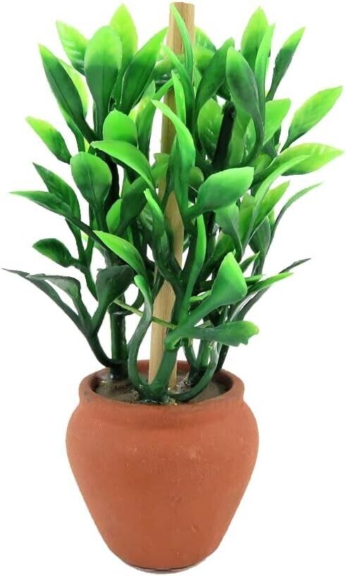Bushy Plant In Terracotta Pot, Dolls House Miniature. Plants Indoor or Outdoor