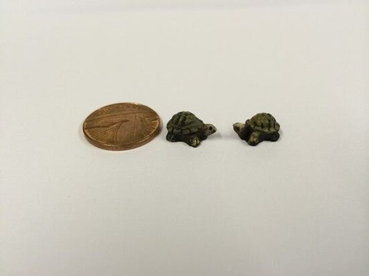 Two Baby Tortoises, Dolls House Miniature, Animals & Pets Tiny Tortoise
