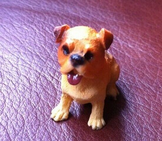 Dog Choice Of 24 Doggo's, Dolls House Miniatures 1.12 Scale