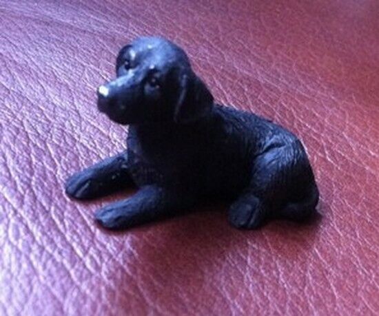 Dog Choice Of 24 Doggo's, Dolls House Miniatures 1.12 Scale