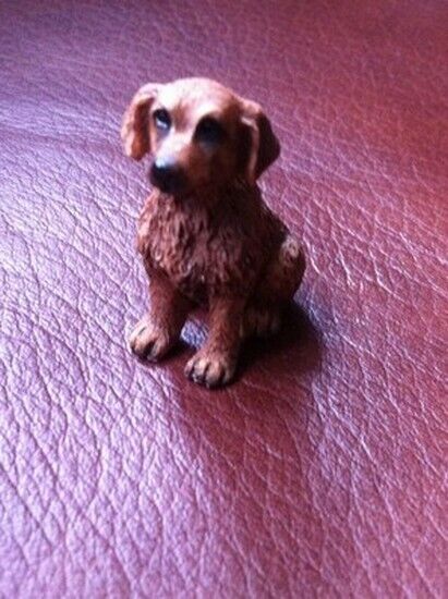 Dog Choice Of 24 Doggo's, Dolls House Miniatures 1.12 Scale