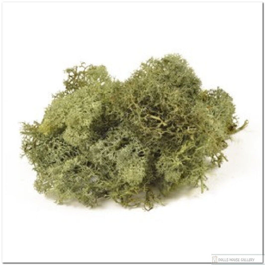 Bag of Lichen Moss Dark Green 40g, Doll House Miniature, Railways,