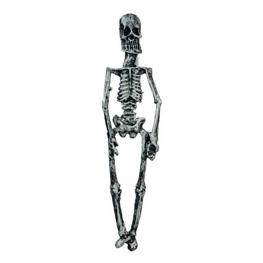 Small Skeleton, Dolls House Miniatures, Dolls House Miniature Halloween 6cm