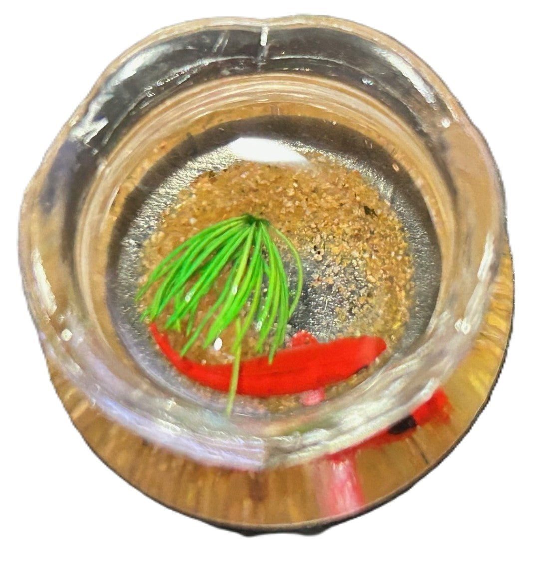 1 Goldfish Bowl, Miniature Pet Accessory, Dolls House Miniature, One Bowl Only