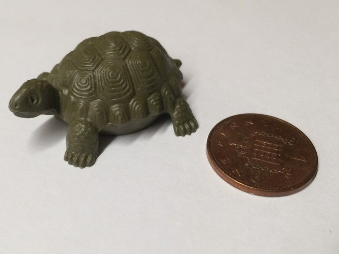 Large Tortoise, Dolls House Miniatures, Pets & Animals