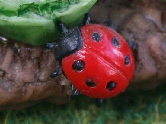 3 Ladybirds Doll House Miniatures, Insects Garden Outdoor