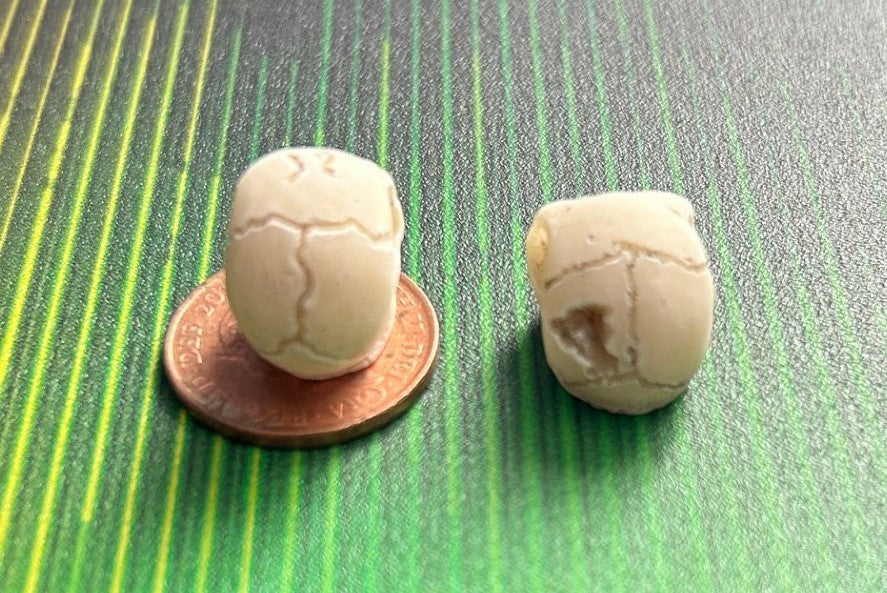 One Miniature Detailed Skull, 15mm Tall, Halloween,Skeleton