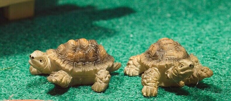 Terry & Jerry Tortoises, Dolls House Miniature, Animals, Pets Tiny Tortoise