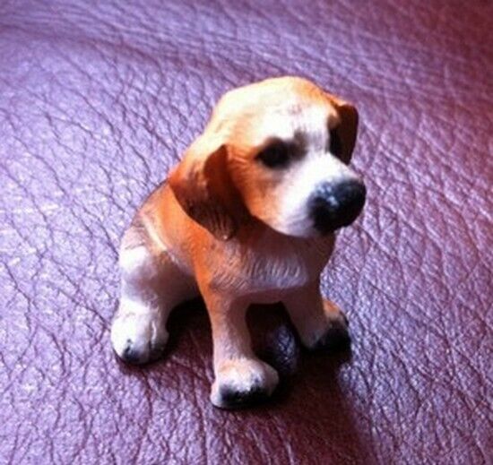 Dog Choice Of 24 Doggo's, Dolls House Miniatures 1.12 Scale