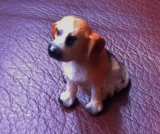 Dog Choice Of 24 Doggo's, Dolls House Miniatures 1.12 Scale