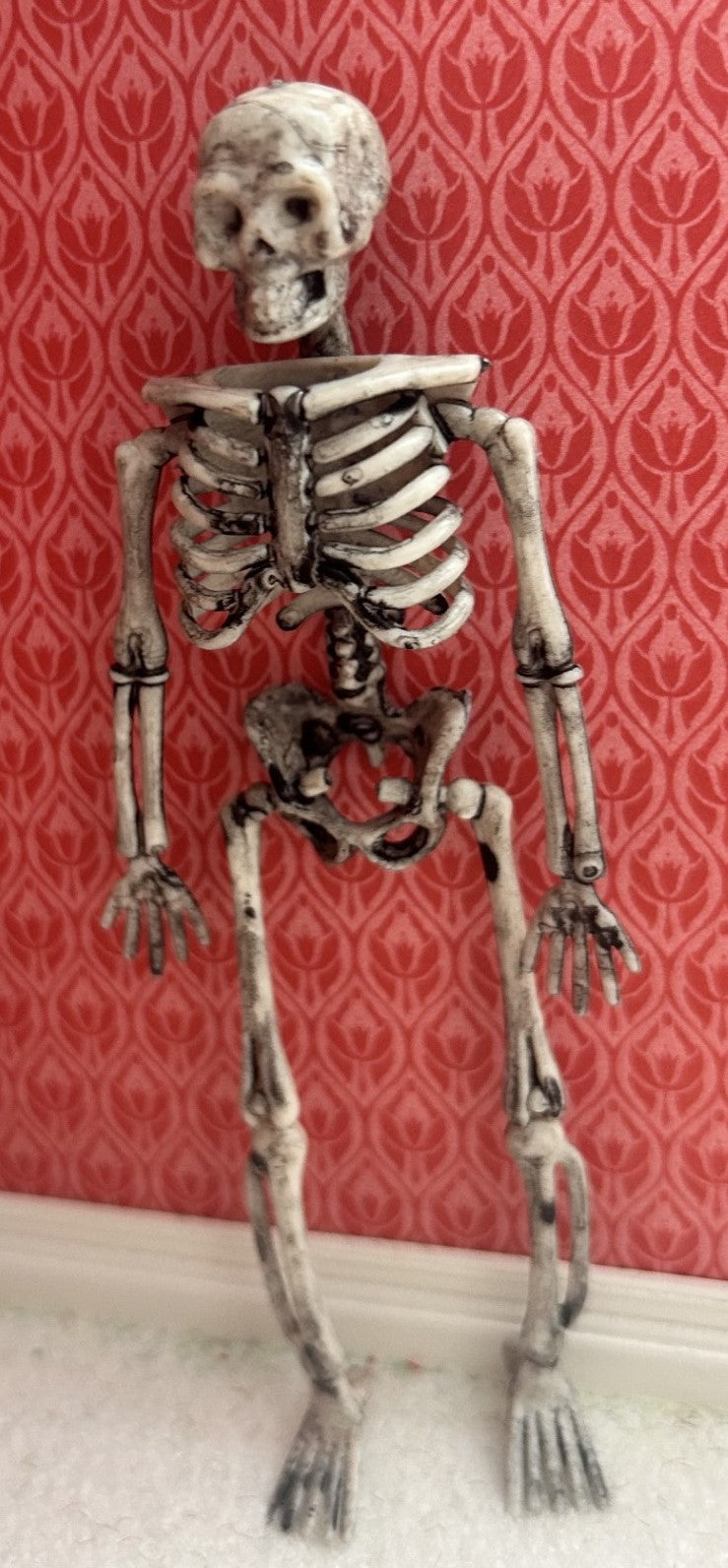 Large Skeleton, Dolls House Miniatures, Miniature Halloween, Skull, Dr, Medical
