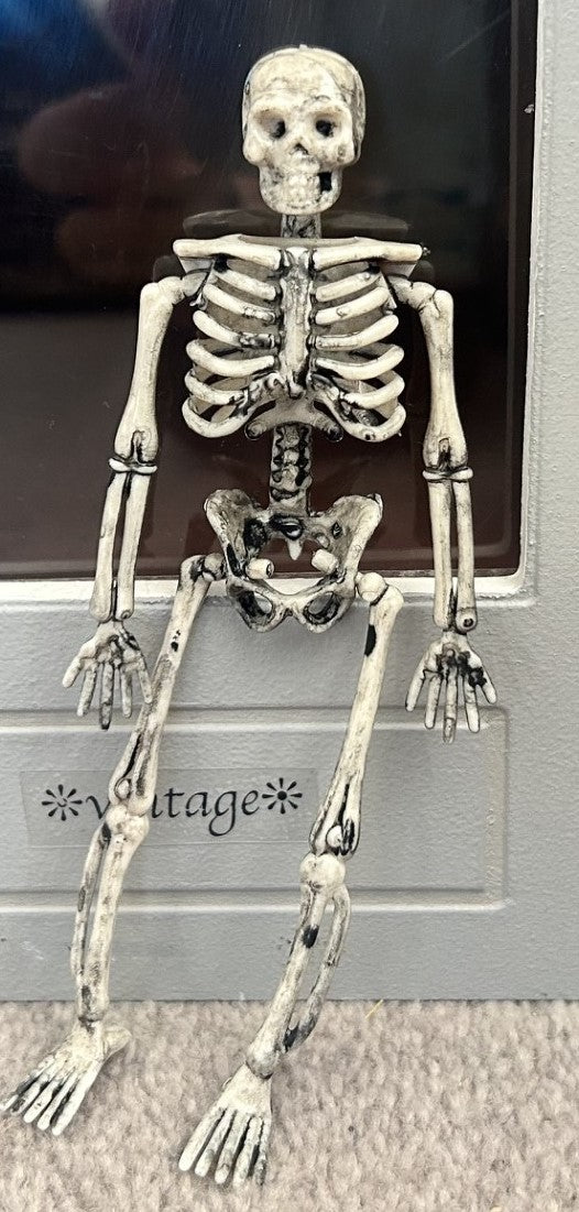 Large Skeleton, Dolls House Miniatures, Miniature Halloween, Skull, Dr, Medical