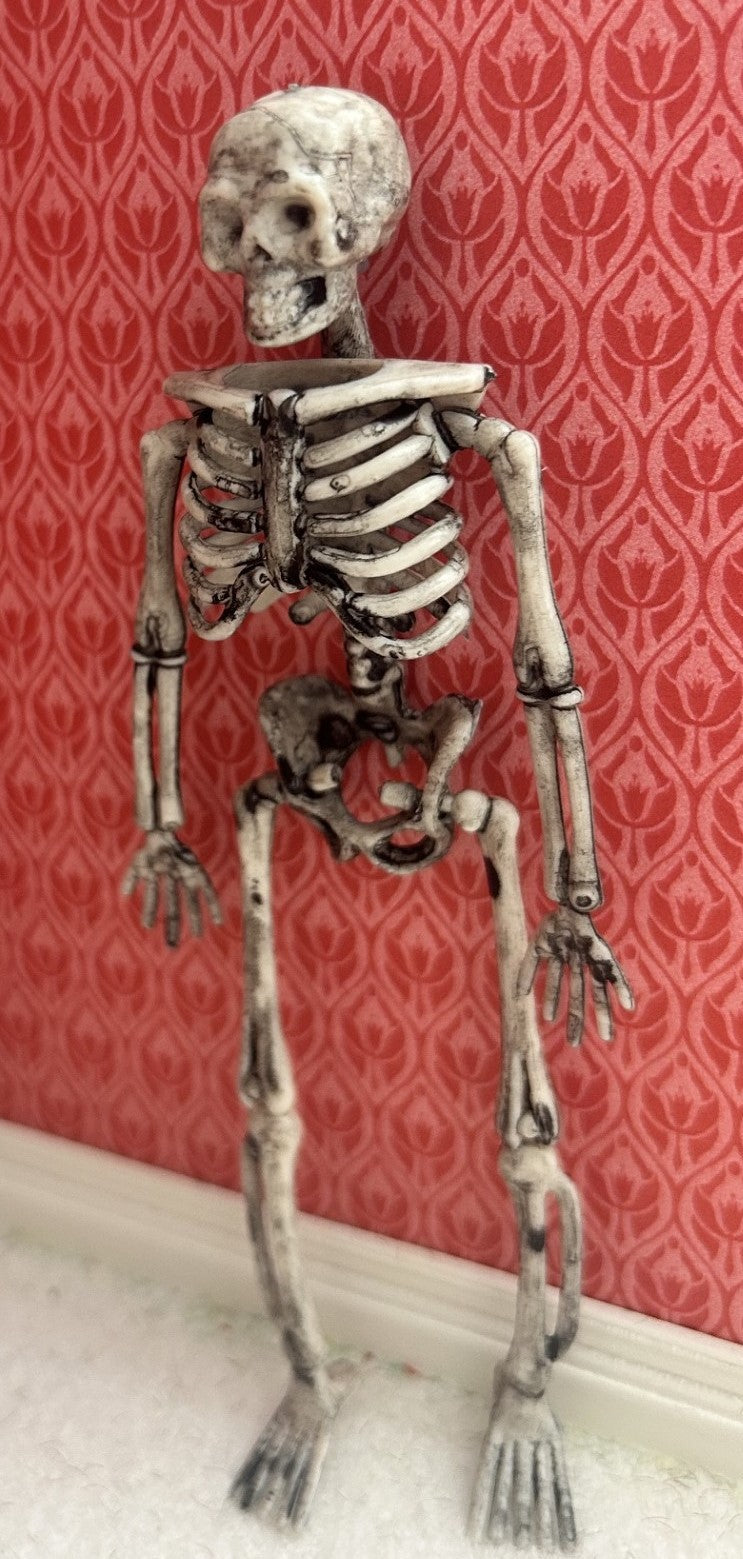 Large Skeleton, Dolls House Miniatures, Miniature Halloween, Skull, Dr, Medical