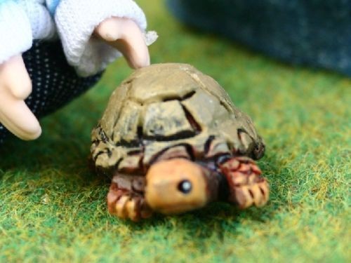 Adult Tortoise, Dolls House Miniature, Animals & Pets 1.12 Scale