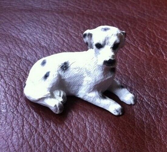 Dog Choice Of 24 Doggo's, Dolls House Miniatures 1.12 Scale
